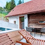 Holiday home Diekellerstoeckl - Rosenstoeckl S22 Mit Mini-pool Stainz
